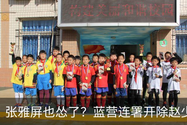 张雅屏也怂了？蓝营连署开除赵少康，张雅屏：联署人数不能替代事证