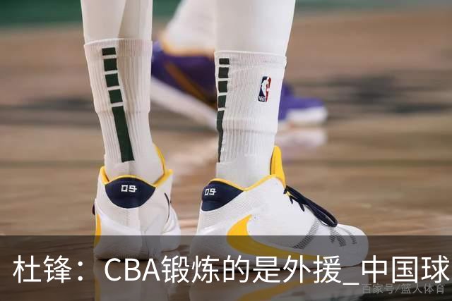 杜锋：CBA锻炼的是外援 中国球员支配球的次数太少