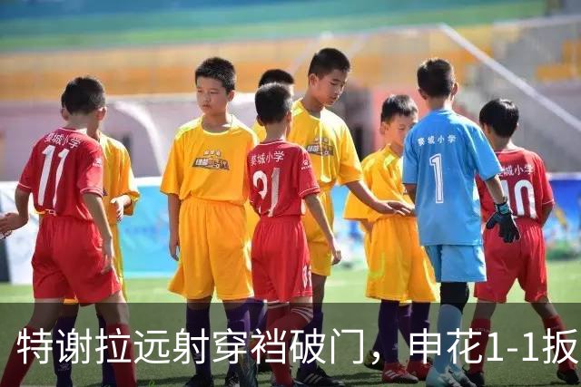 特谢拉远射穿裆破门，申花1-1扳平新鹏城