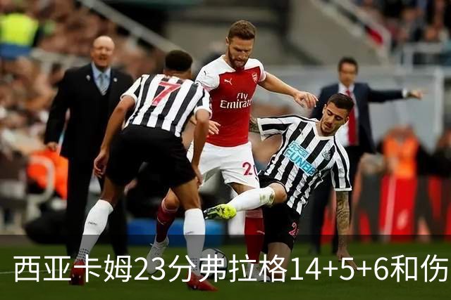 西亚卡姆23分弗拉格14+5+6&伤退 独行侠轻取步行者