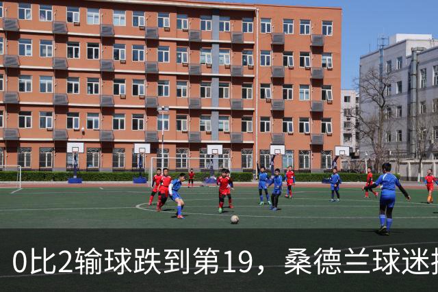0比2输球跌到第19，桑德兰球迷播客怒斥：不可接受