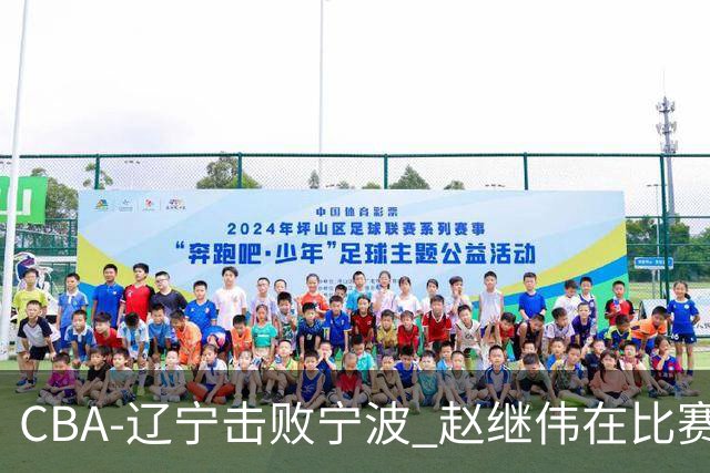 CBA-辽宁击败宁波 赵继伟在比赛中